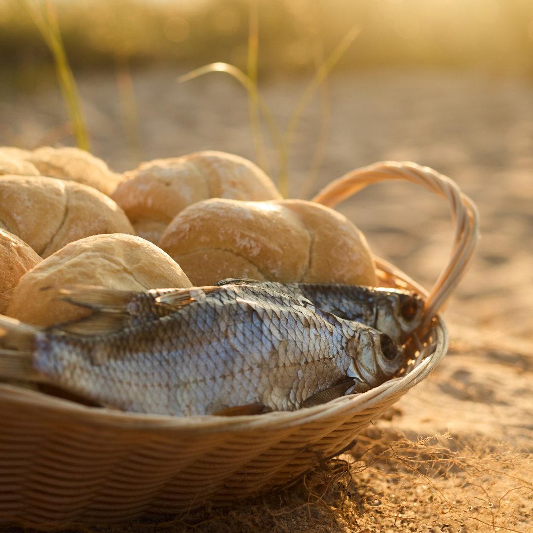 Survey of the New Testament